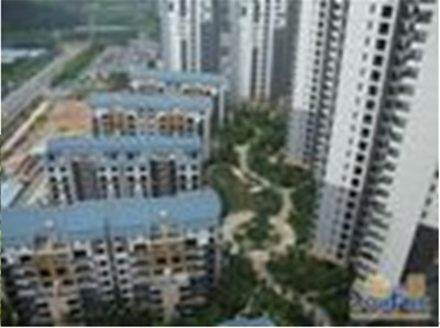 东莞珠佳房地产 专业房地产代理服务，助力投资与登记无忧